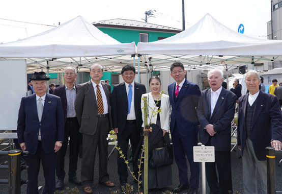 東村山3•4•9号線開通式＆コヒガン桜寄付